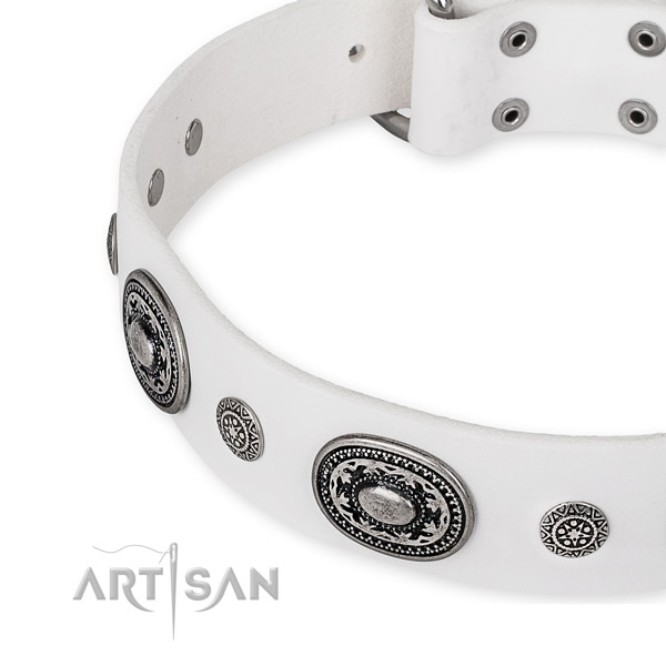 Reliable natural genuine leather dog collar made for your attractive canine