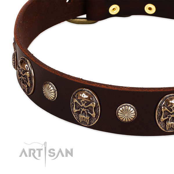 Natural genuine leather dog collar with embellishments for everyday use