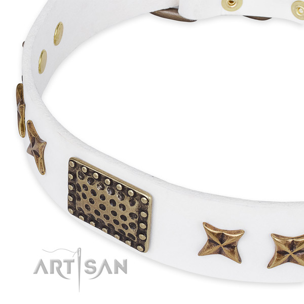 Full grain leather collar with corrosion proof hardware for your stylish pet