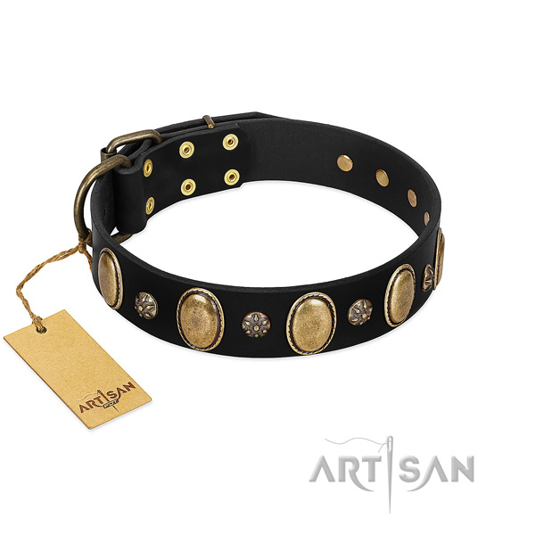 Stylish walking top notch full grain leather dog collar with studs