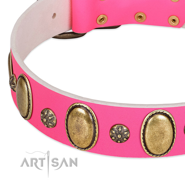 High quality leather dog collar with reliable buckle