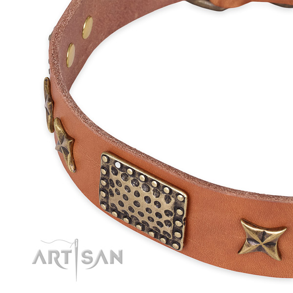 Leather collar with reliable fittings for your handsome pet