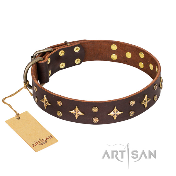 Everyday use dog collar of high quality genuine leather with decorations