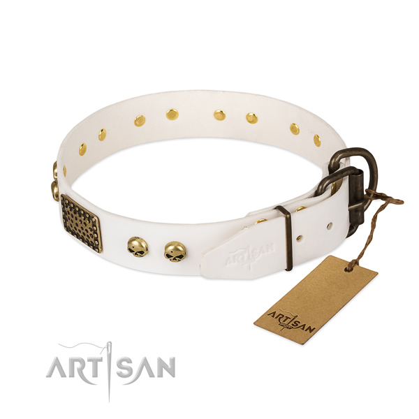 Easy wearing natural leather dog collar for walking your dog