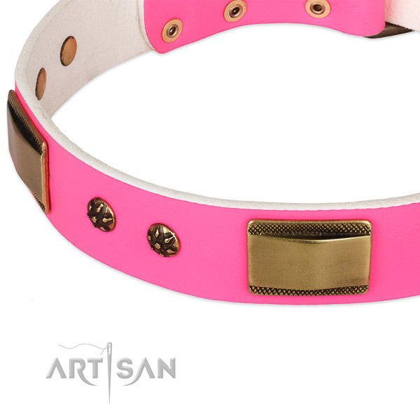 Rust-proof buckle on genuine leather dog collar for your pet