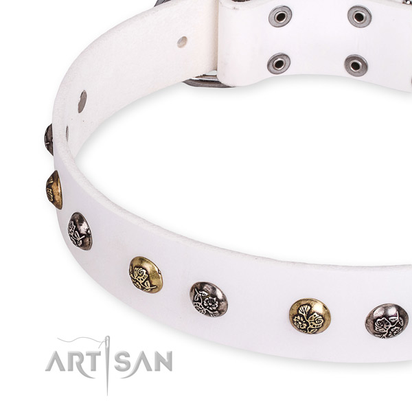Leather dog collar with inimitable corrosion resistant embellishments