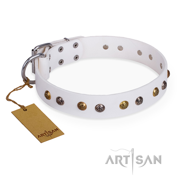 Everyday walking stylish dog collar with rust-proof hardware