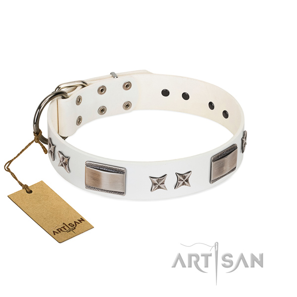 Unique dog collar of natural leather