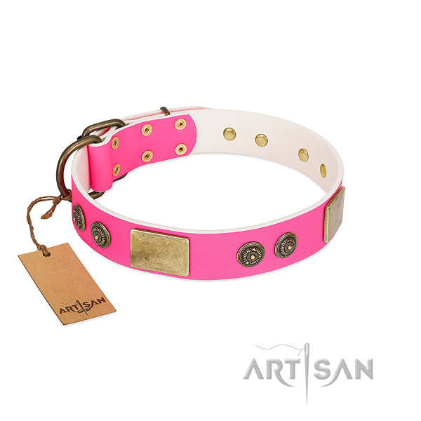 Stylish full grain leather dog collar for daily use