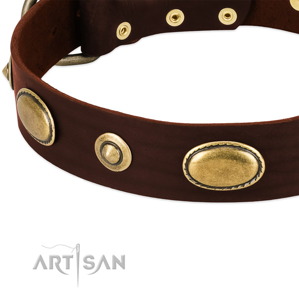 Reliable adornments on full grain leather dog collar for your pet