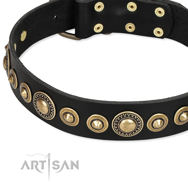 Top rate full grain leather dog collar created for your attractive doggie