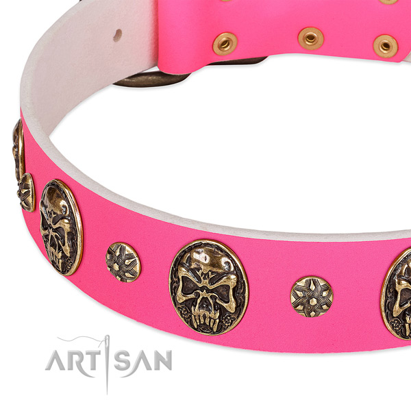 Stylish dog collar crafted for your beautiful pet