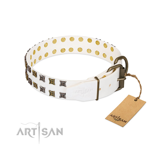 Full grain leather collar with unique embellishments for your doggie