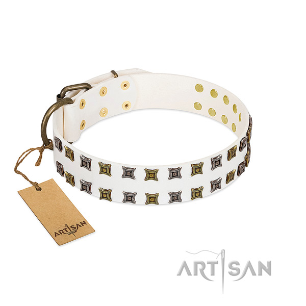 Full grain genuine leather collar with top notch studs for your pet