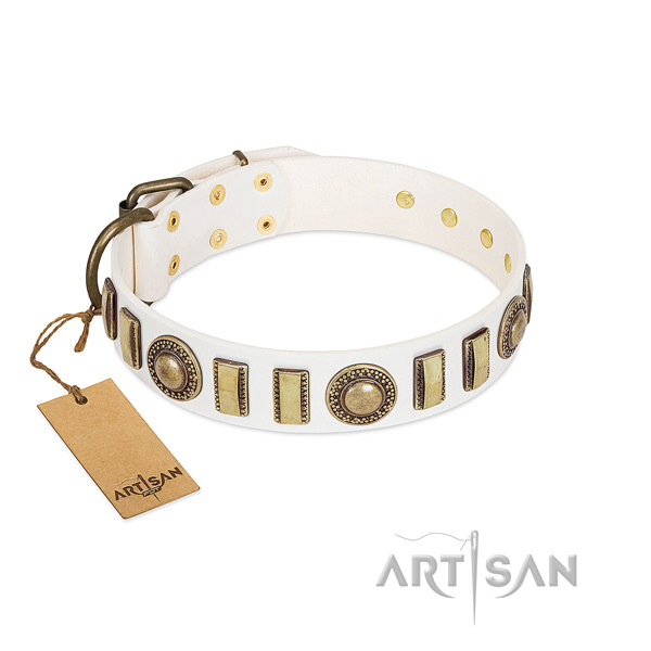Unusual natural leather dog collar with corrosion proof hardware