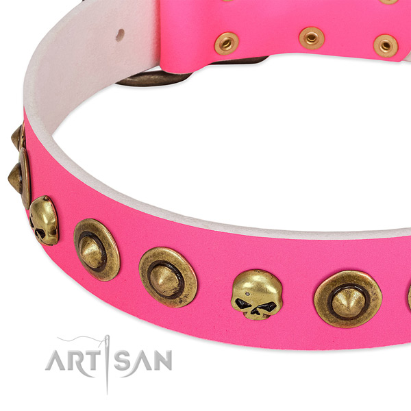 Exceptional studs on genuine leather collar for your dog
