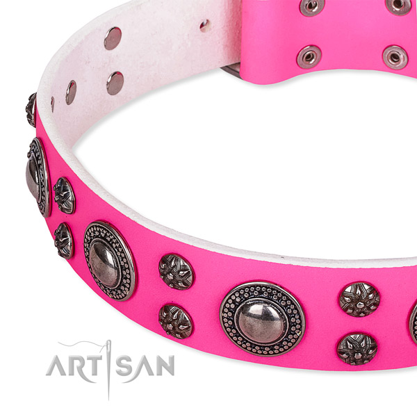 Basic training adorned dog collar of top notch genuine leather