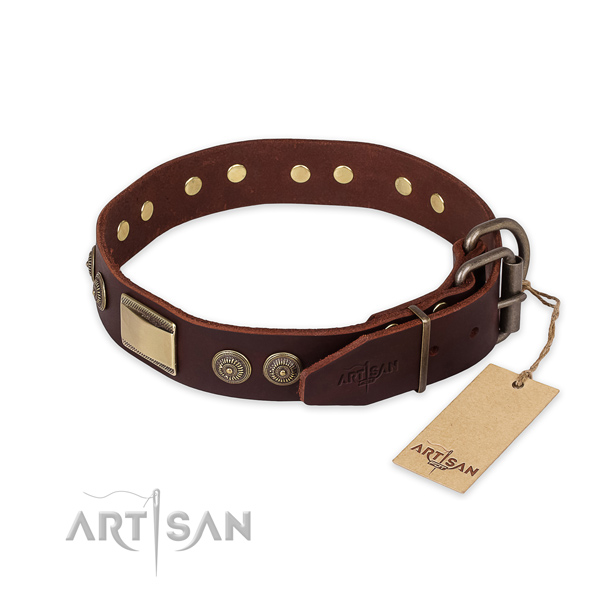 Corrosion proof traditional buckle on full grain leather collar for fancy walking your four-legged friend