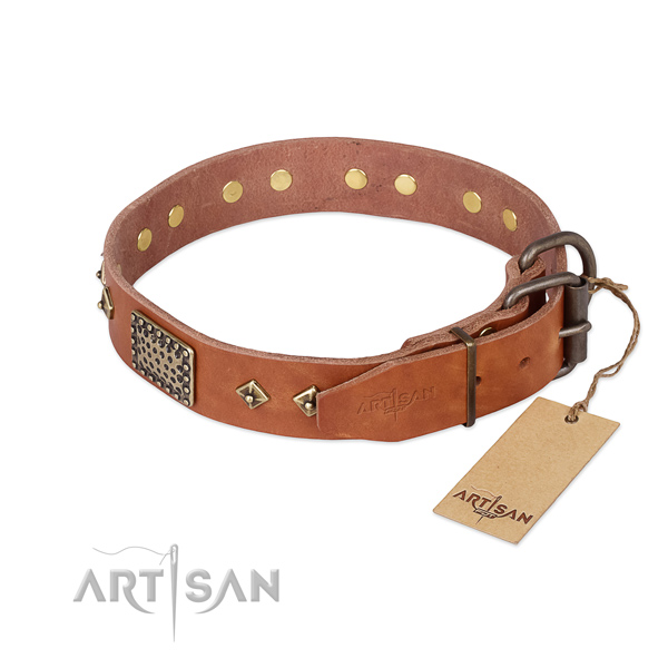 Natural leather dog collar with reliable buckle and studs