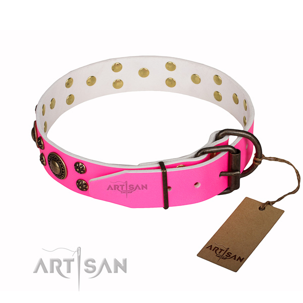 Daily walking adorned dog collar of best quality genuine leather