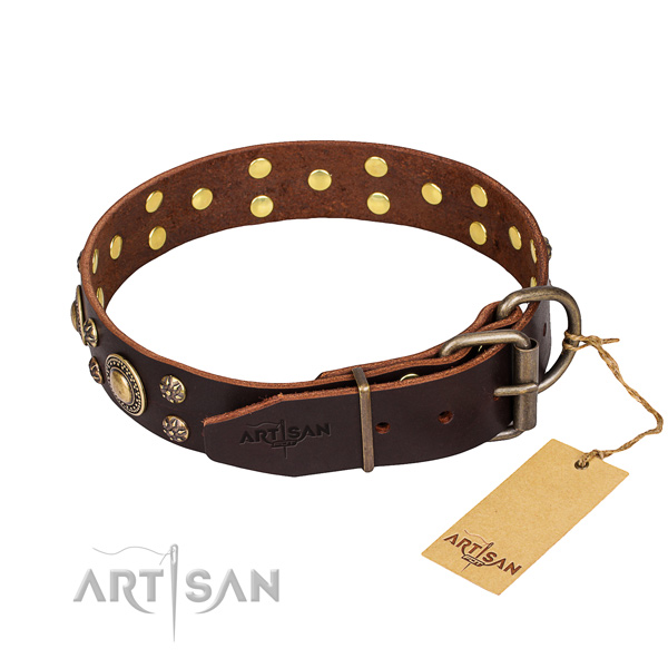 Daily use decorated dog collar of durable natural leather