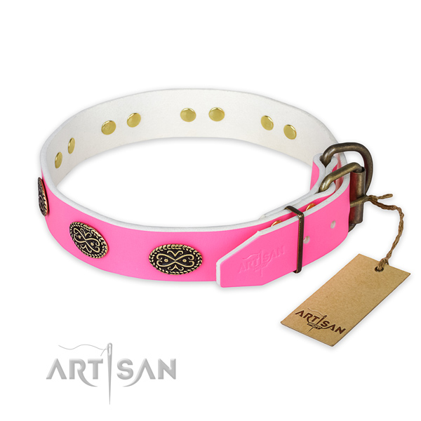 Durable D-ring on stylish walking dog collar