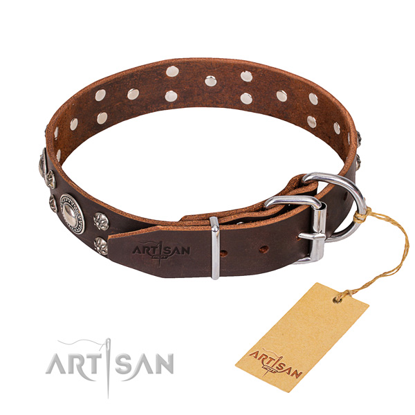 Daily walking embellished dog collar of finest quality genuine leather