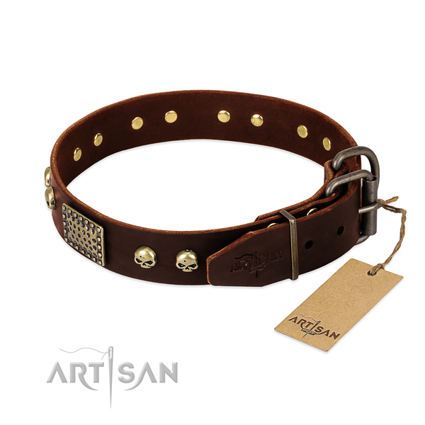 Durable traditional buckle on daily use dog collar