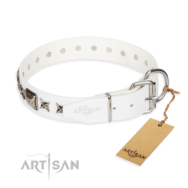 High quality studded dog collar of leather