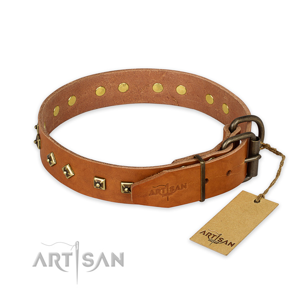 Corrosion resistant hardware on full grain leather collar for everyday walking your four-legged friend