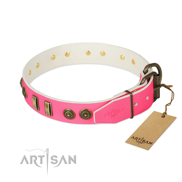 Rust resistant adornments on full grain genuine leather dog collar for your dog