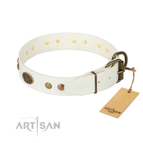 Rust-proof embellishments on genuine leather dog collar for your canine