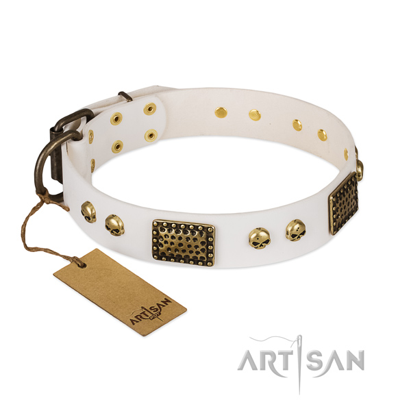 Corrosion proof embellishments on comfortable wearing dog collar