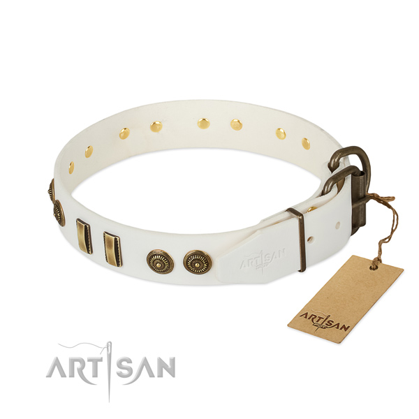 Rust-proof traditional buckle on leather dog collar for your canine