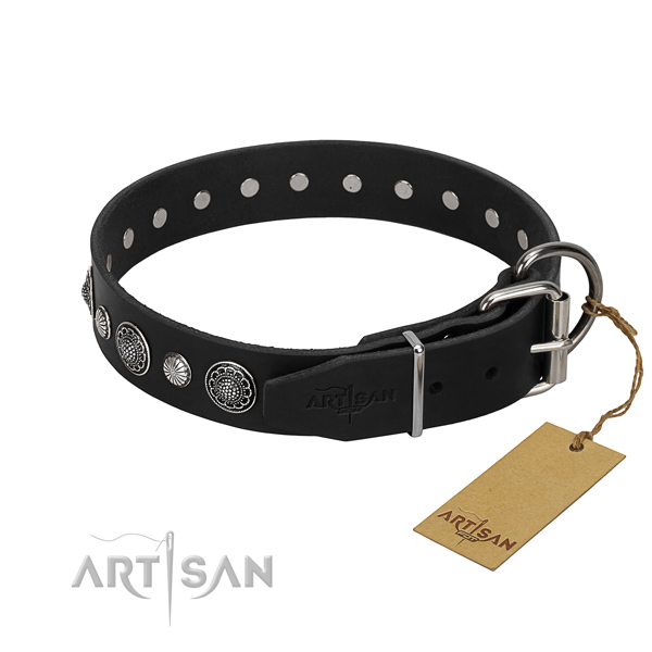 Fine quality full grain leather dog collar with extraordinary adornments