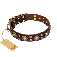 "Flower Melody" FDT Artisan Brown Leather Amstaff Collar with Mixed Studs