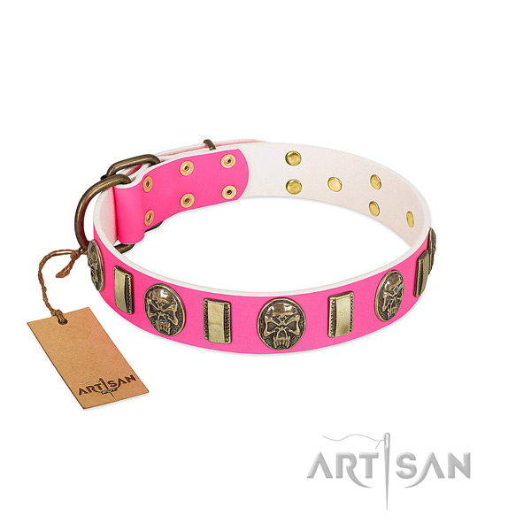 Corrosion proof hardware on leather dog collar for your doggie