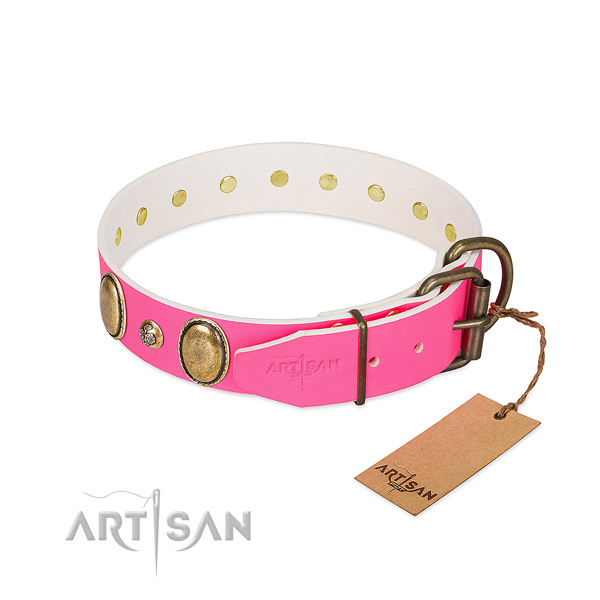Daily use top rate leather dog collar