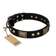 "Biker Style" FDT Artisan Black Leather Amstaff Collar with Old Bronze Look Plates and Skulls "Biker Style" FDT Artisan Black Leather Amstaff Collar with Old Bronze Look Plates and Skulls