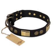 "Ancient Egypt" FDT Artisan Leather Amstaff Collar with Old Bronze Look Decorations "Ancient Egypt" FDT Artisan Leather Amstaff Collar with Old Bronze Look Decorations