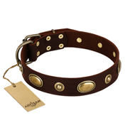 "Hebe's Jewel" FDT Artisan Brown Genuine Leather Amstaff Collar