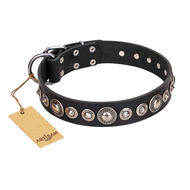 "Strict Elegance" FDT Artisan Black Leather Amstaff Collar with Decorations