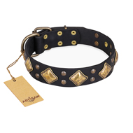 "Fancy-Schmancy" FDT Artisan Studded Leather Amstaff Collar