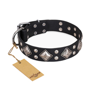 "Smart Geometry" FDT Artisan Studded Leather Amstaff Collar