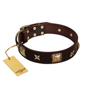 "Choco Dreams" FDT Artisan Brown Leather Amstaff Collar with Squares and Stars