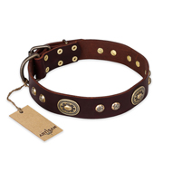 "Breath of Elegance" FDT Artisan Decorated with Plates Brown Leather Amstaff Collar "Breath of Elegance" FDT Artisan Decorated with Plates Brown Leather Amstaff Collar