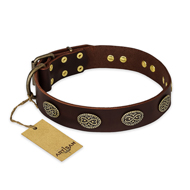 "Chocolate kiss" FDT Artisan Leather Amstaff Collar with Old Bronze Look Oval Plates "Chocolate kiss" FDT Artisan Leather Amstaff Collar with Old Bronze Look Oval Plates