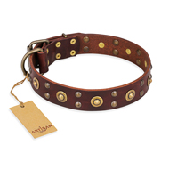 "Caprice of Fashion" FDT Artisan Brown Leather Amstaff Collar with Round Decorations "Caprice of Fashion" FDT Artisan Brown Leather Amstaff Collar with Round Decorations