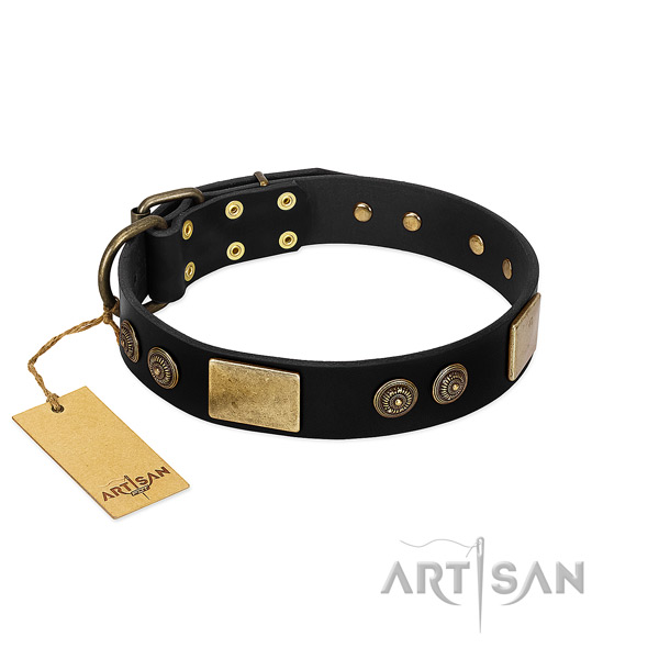 Reliable hardware on natural leather dog collar for your canine
