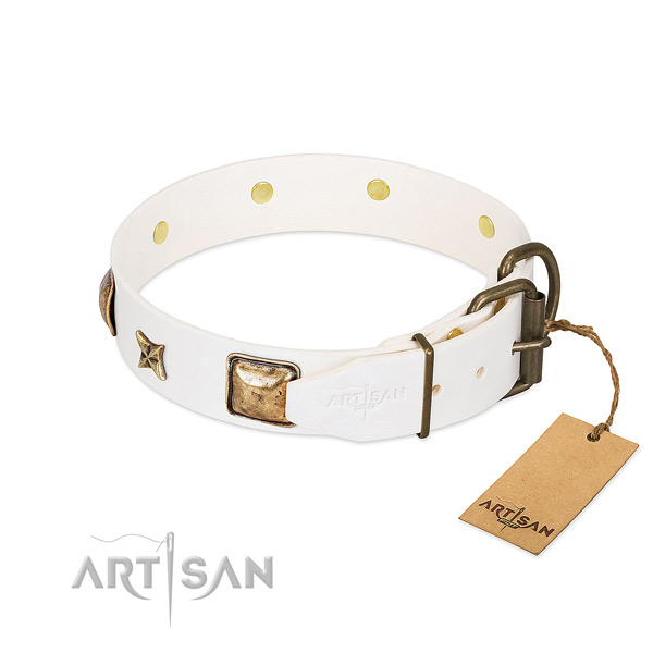 Full grain natural leather dog collar with durable fittings and adornments